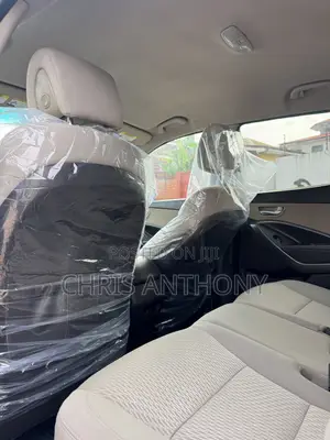 Hyundai Santa Fe 2019 Gray
