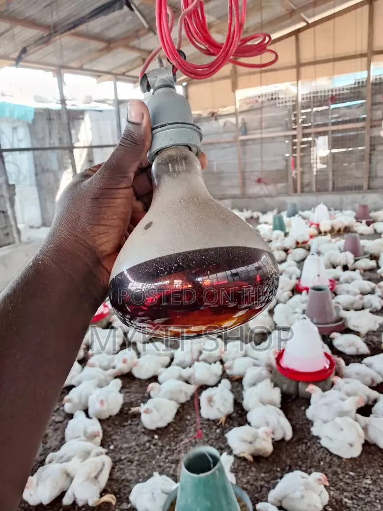 Brooder Heat E27 Lamp Holder