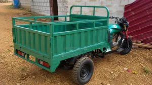 Luojia Clean Tricycle 2025 Green
