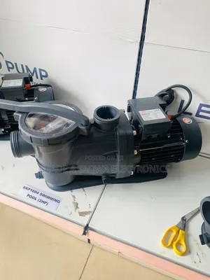 2-Horsepower Leo Swimming Pool Pump