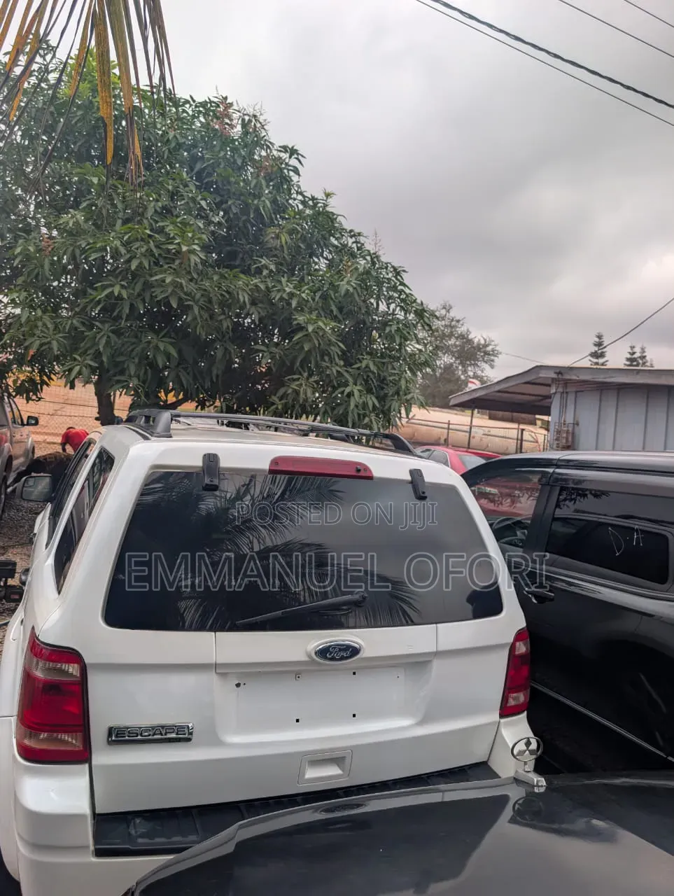 Ford Escape 2012 White