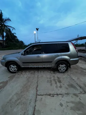 Nissan X-Trail 2014 Gray
