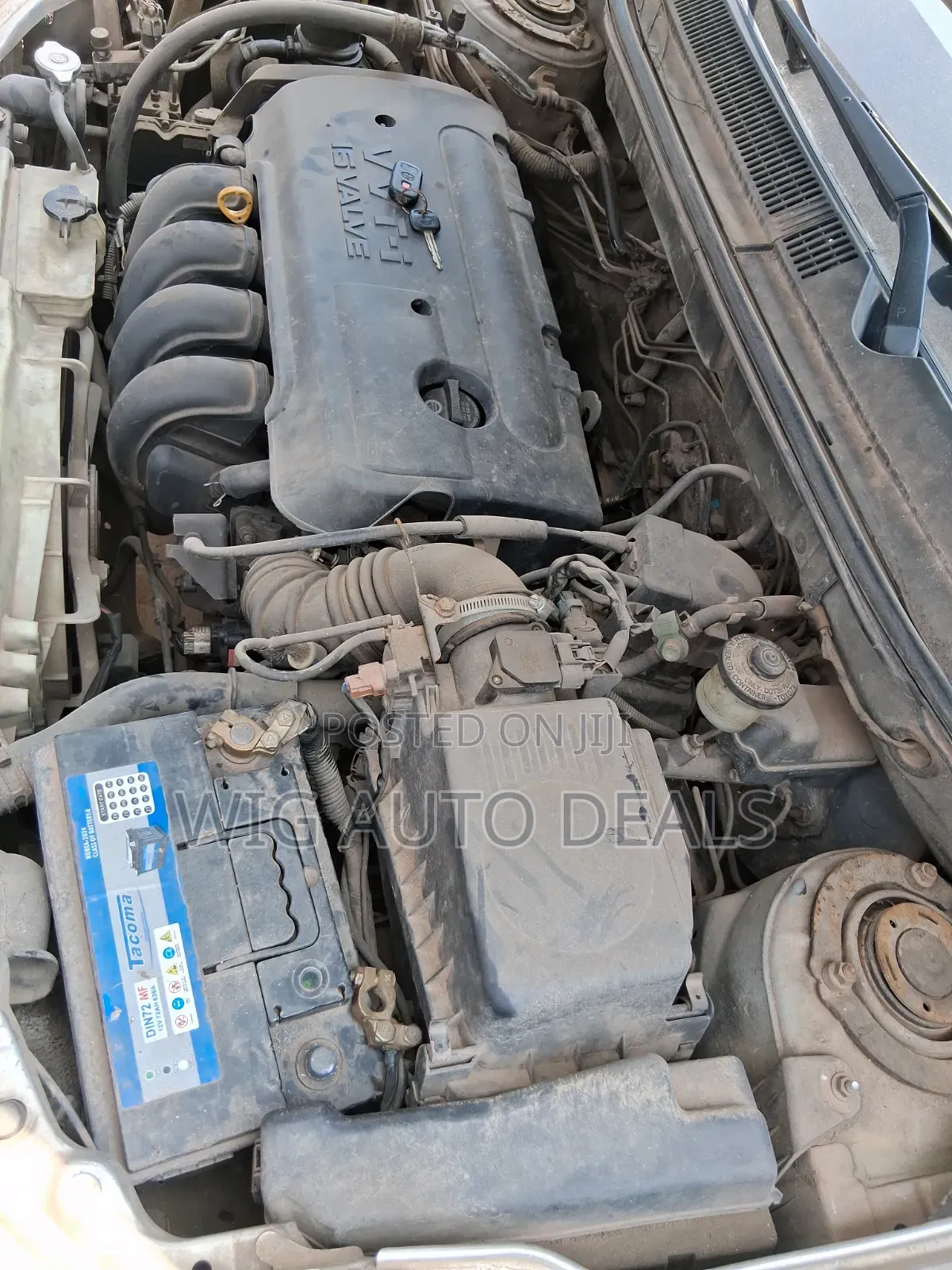 Toyota Matrix 2008 Pearl