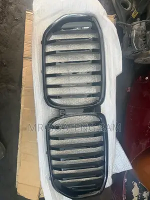 BMW X5 2020 Front Grille