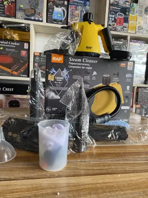 Raf 6in1 Handheld Steam Cleaner (1000W)