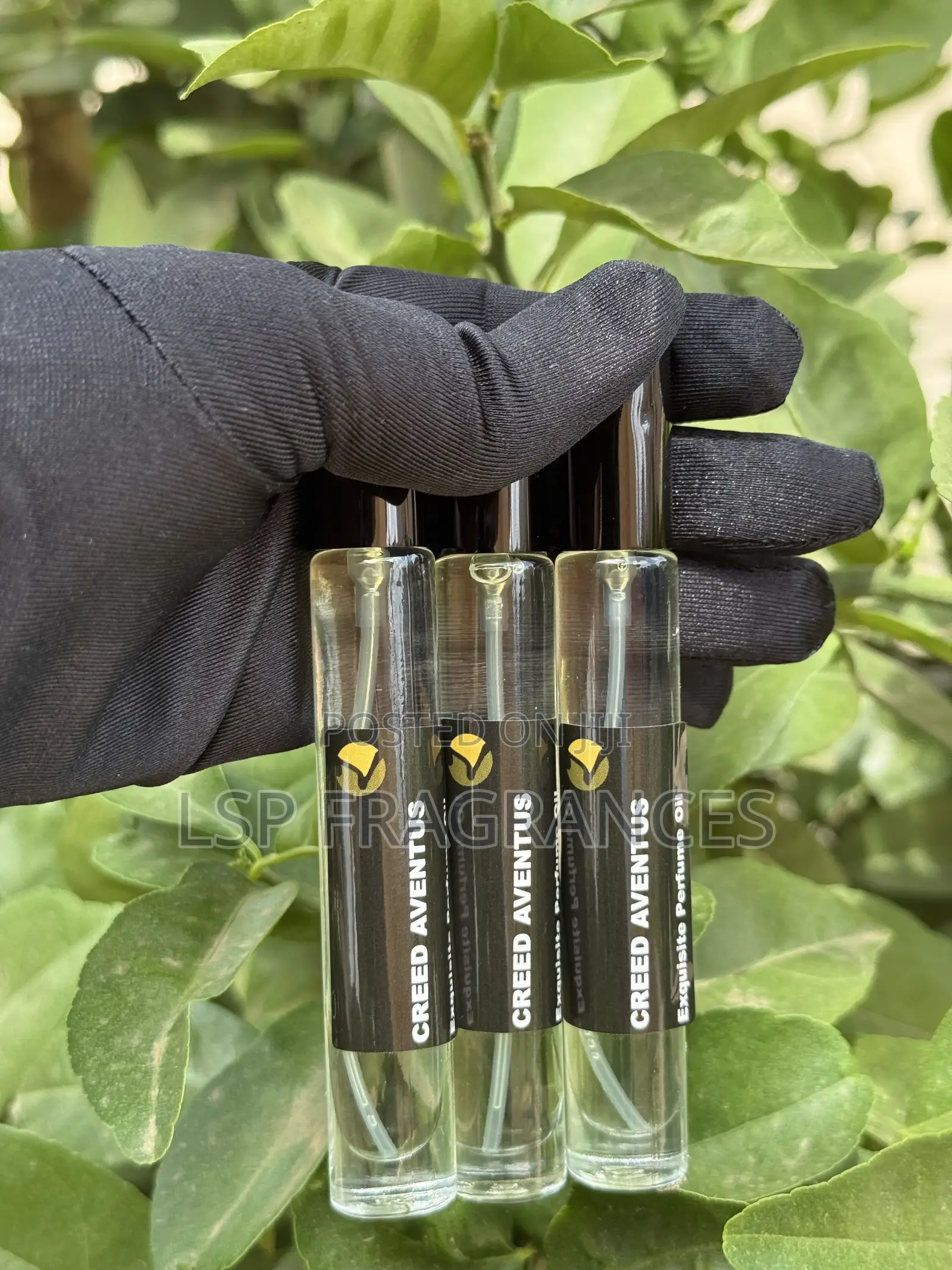 Premium Perfume Oils