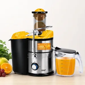RAF High-Speed Electric Fruit Juicer
