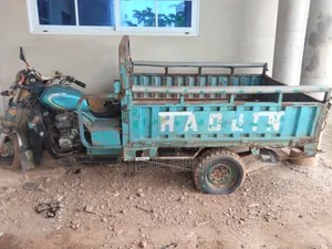 Tricycle 2023 Blue