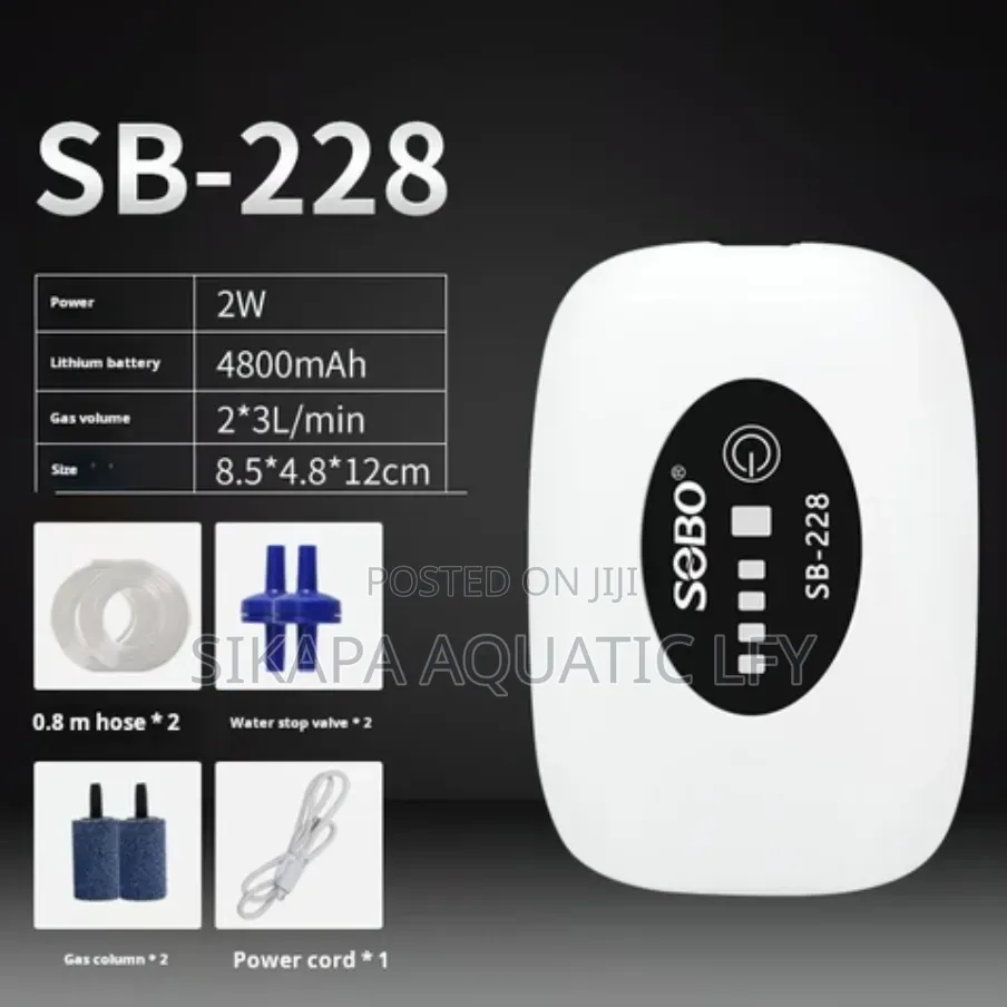 Rechargeable Air Pump