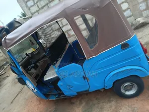 Tricycle 2025 Blue