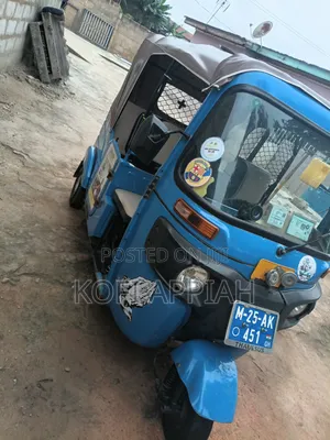 Tricycle 2025 Blue