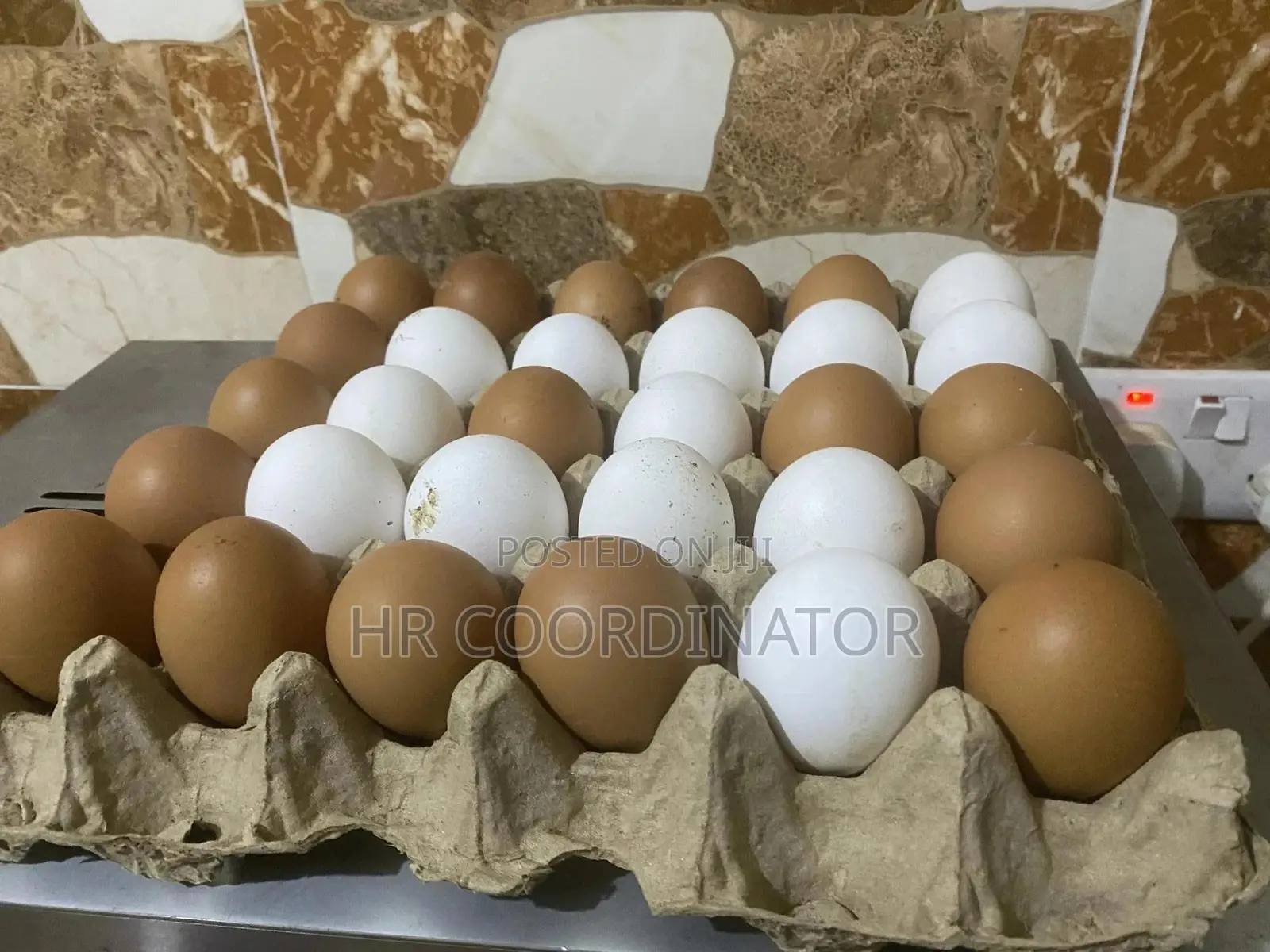 Food Items-Like Eggs