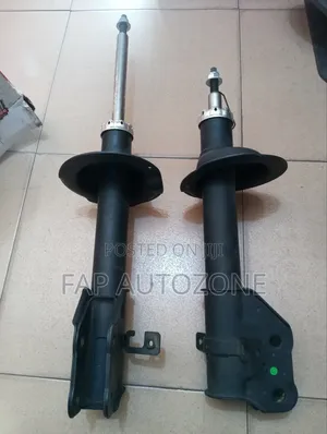 Genuine Gabriel Ford Edge and Lincoln MKX Strut Imported From USA