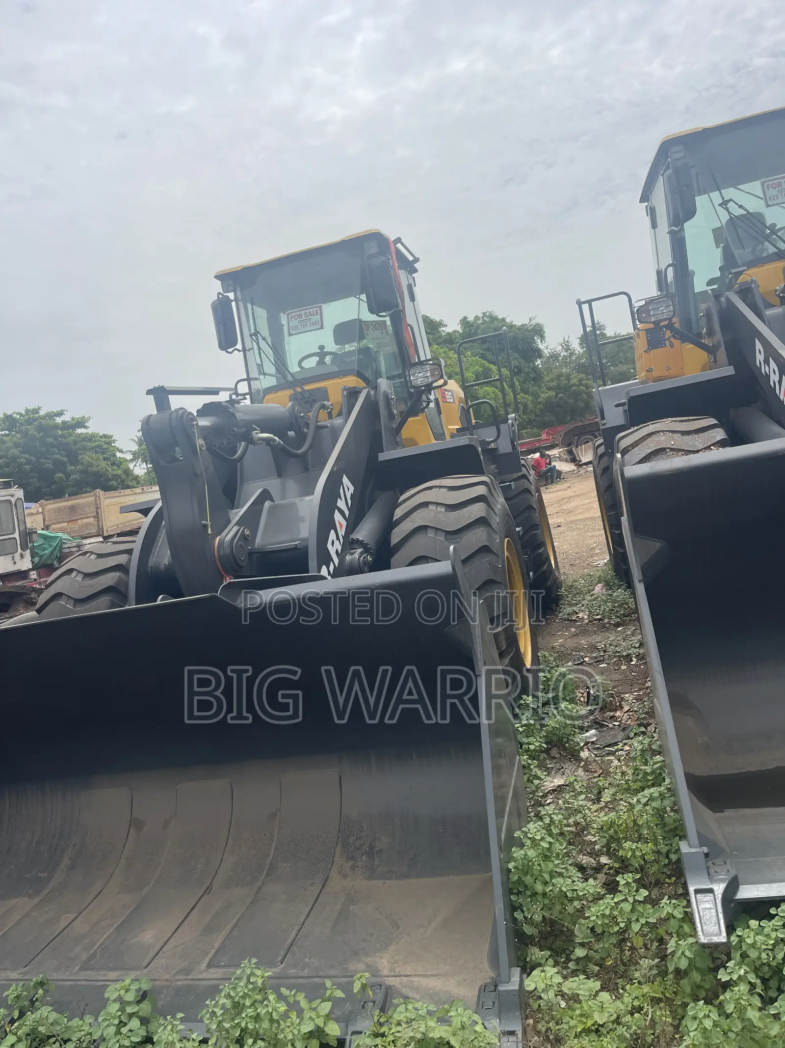  Powerful Whellloader for Sale