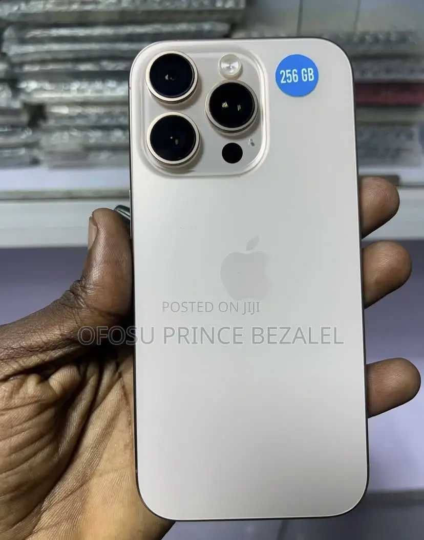 Apple iPhone 16 Pro 256 GB Gray
