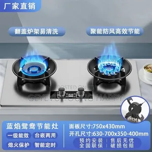 Gas Stove Burner