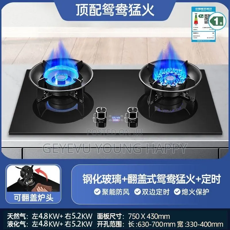 Gas Stove Burner