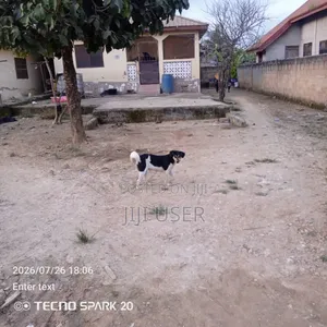4bdrm House in Upper Denkyira East for sale