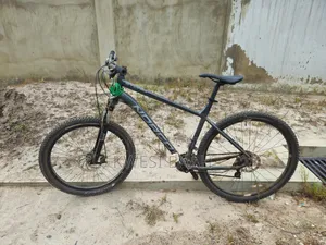 Mountain Bicycle