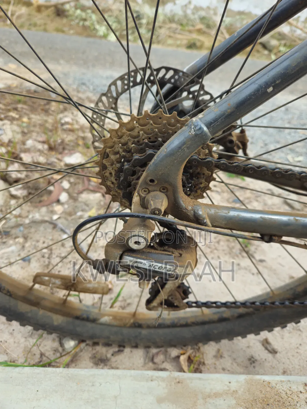 Mountain Bicycle
