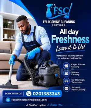 Felix Shine Cleaning Service