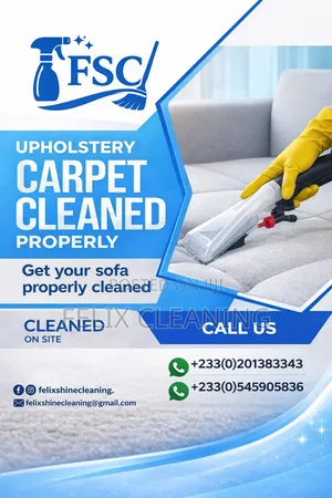 Felix Shine Cleaning Service