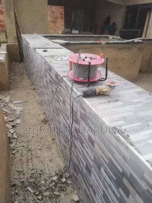Professional Tiller