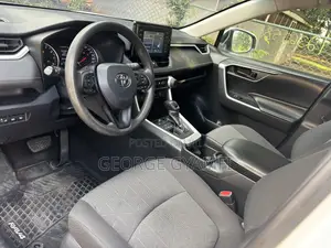 Toyota RAV4 LE AWD 2019 Gray