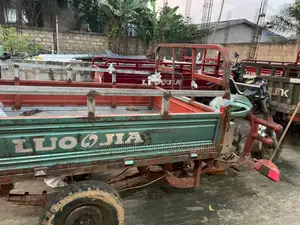 Tricycle 2021 Green
