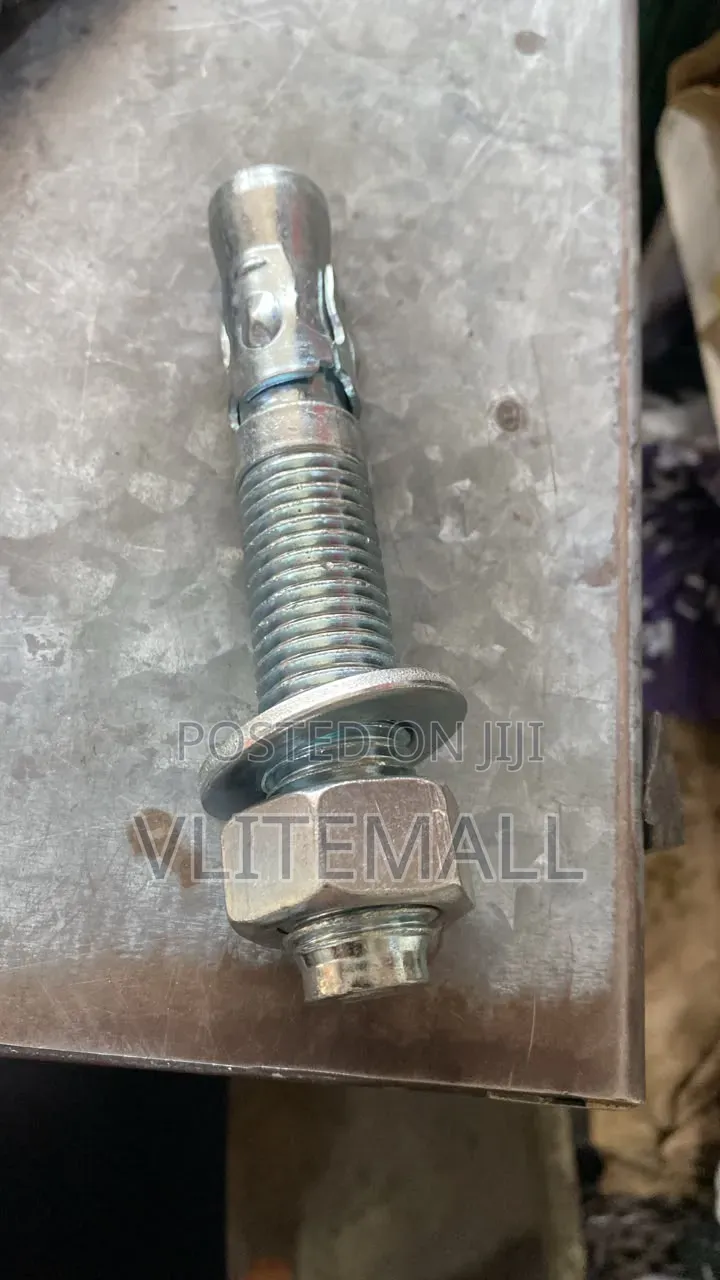 Wedge Anchor Bolts M24*150mm