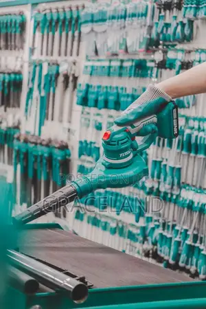 This Is Original INGCO Industrial Air Blower Cordless