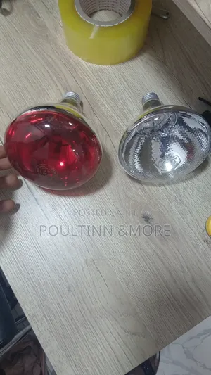 Brooding Bulbs