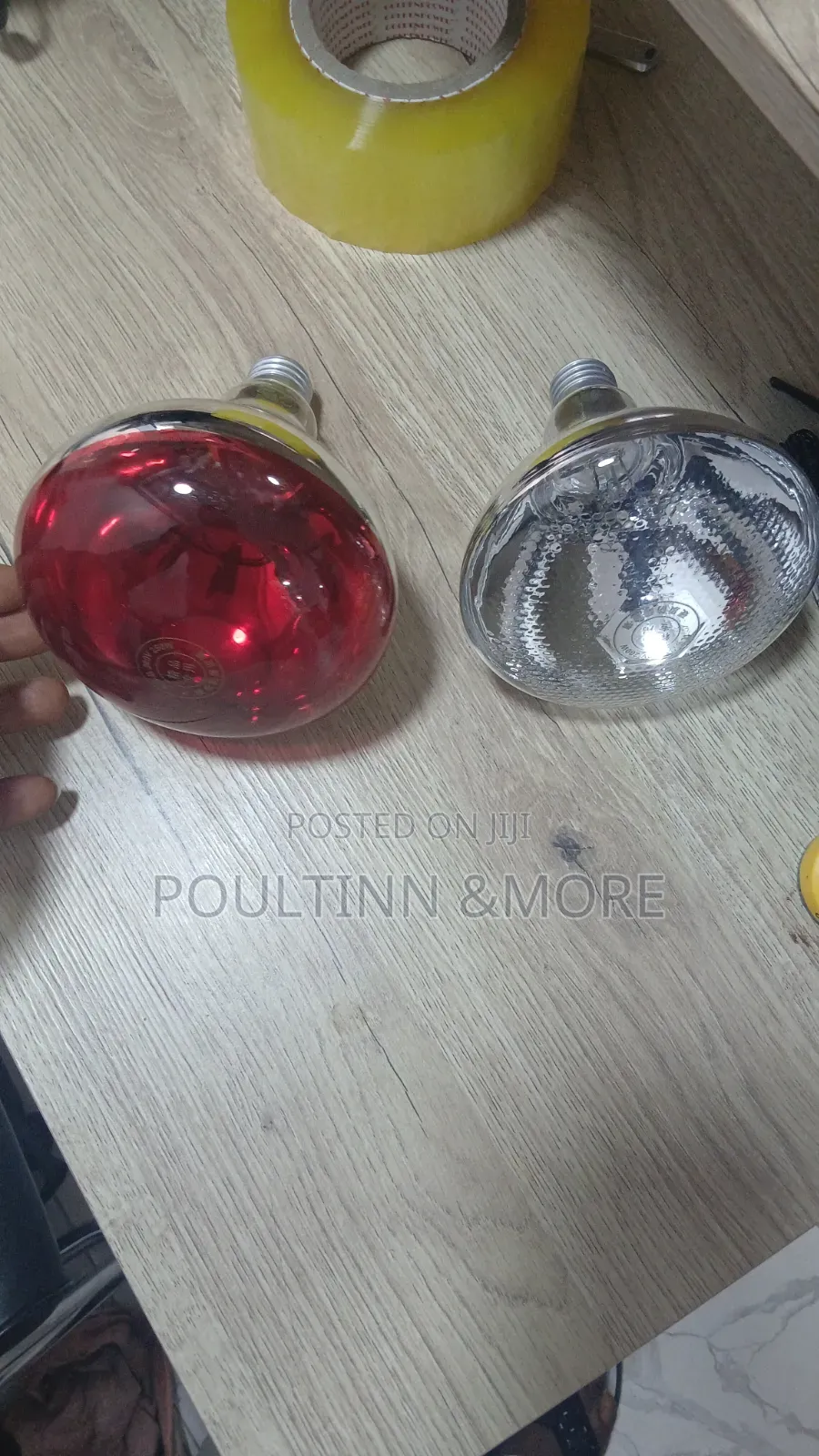 Brooding Bulbs