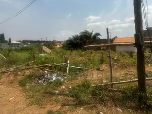 Adventurous Commercial Land