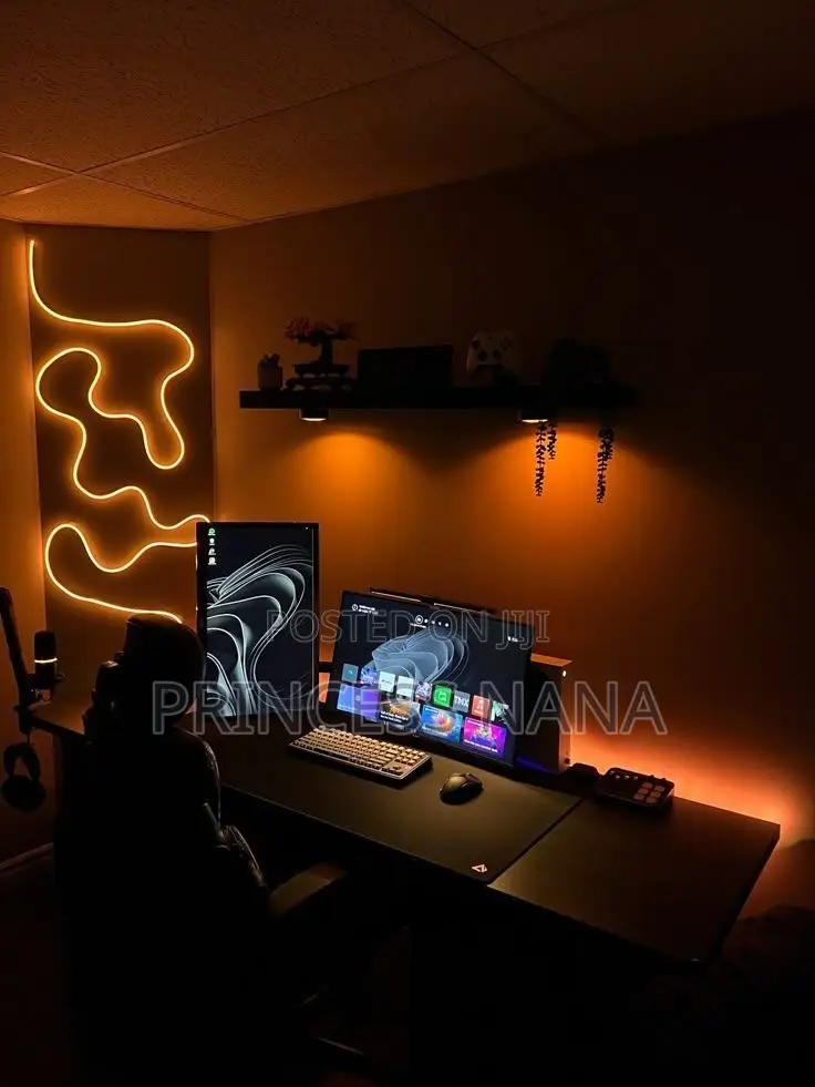 Neon LED Light With Remote App Control