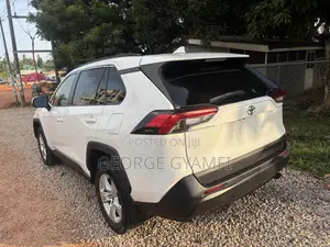 Toyota RAV4 LE AWD 2019 Gray