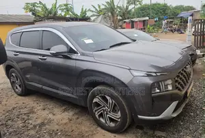 Hyundai Santa Fe 2022 Gray
