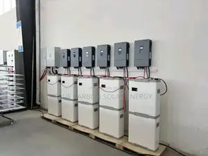 Blue Carbon V48v 300ah-(15kwh)
