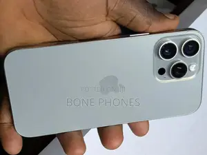 Apple iPhone 15 Pro Max 256 GB Silver