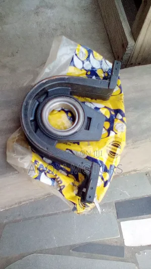 Toyota Center Bearing