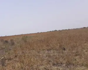 Habitable Area Land