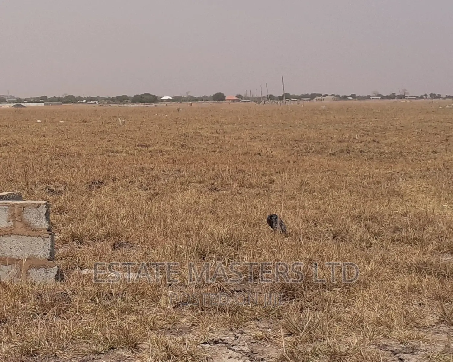 Habitable Area Land
