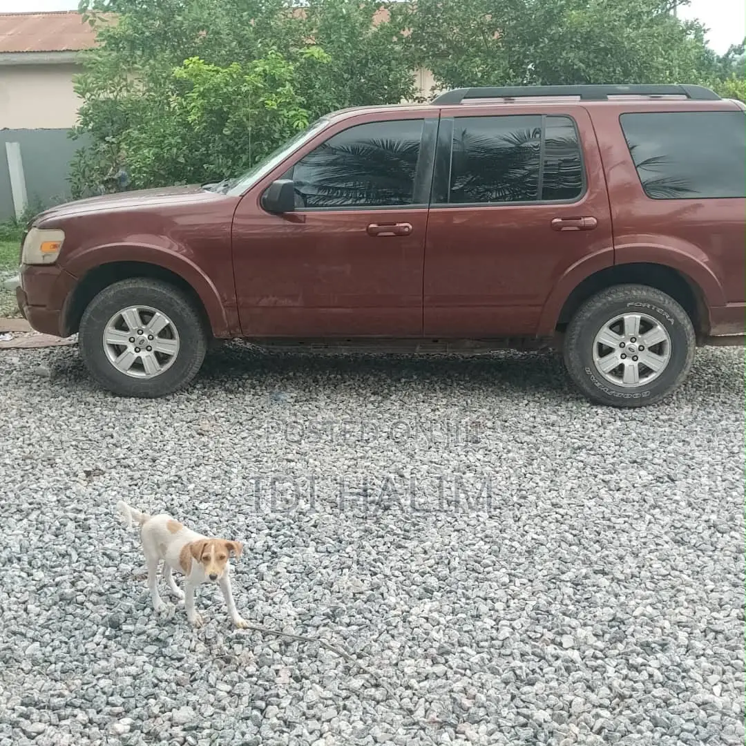 Toyota 4-Runner 2010 Blue