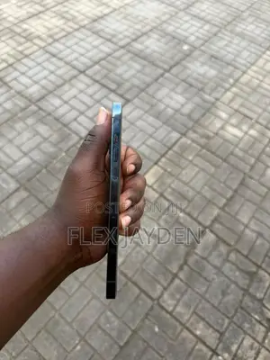 Apple iPhone 12 Pro Max 256 GB Blue