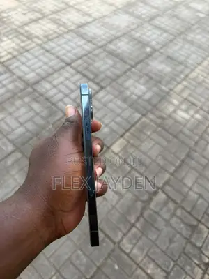 Apple iPhone 12 Pro Max 256 GB Blue