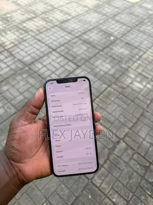 Apple iPhone 12 Pro Max 256 GB Blue