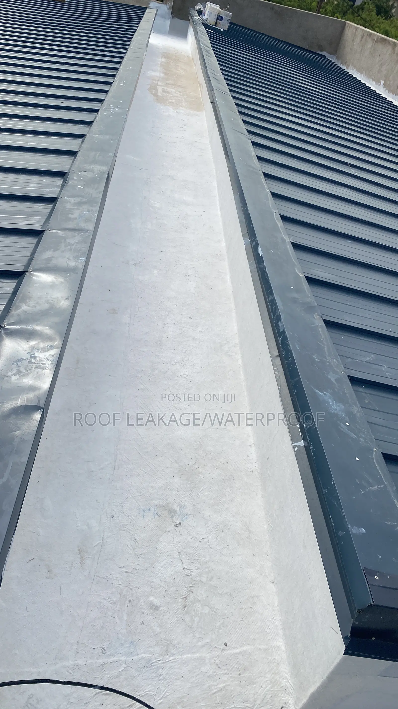Roof Leakage Specialist