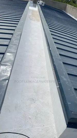Roof Leakage Specialist