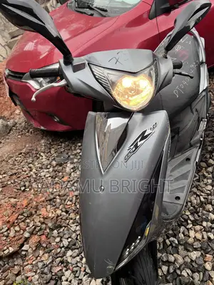 Suzuki Burgman 2016 Gray