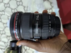 Canon 17-40 F4L